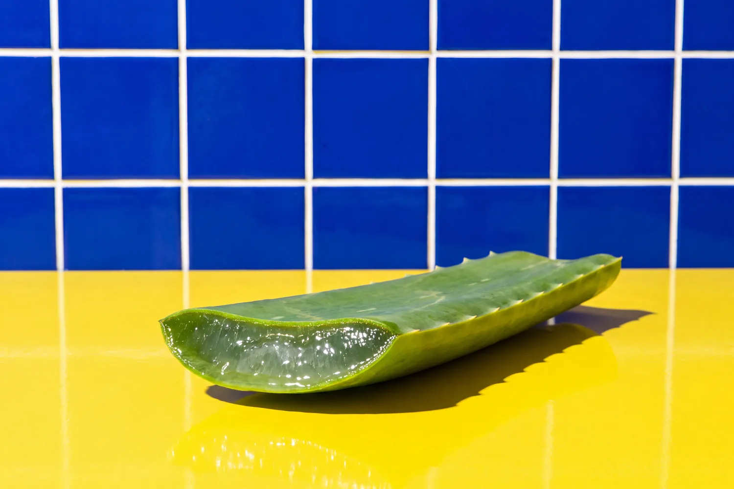 A fresh aloe leaf cut open on a glossy yellow counter against cobalt-blue tiles.