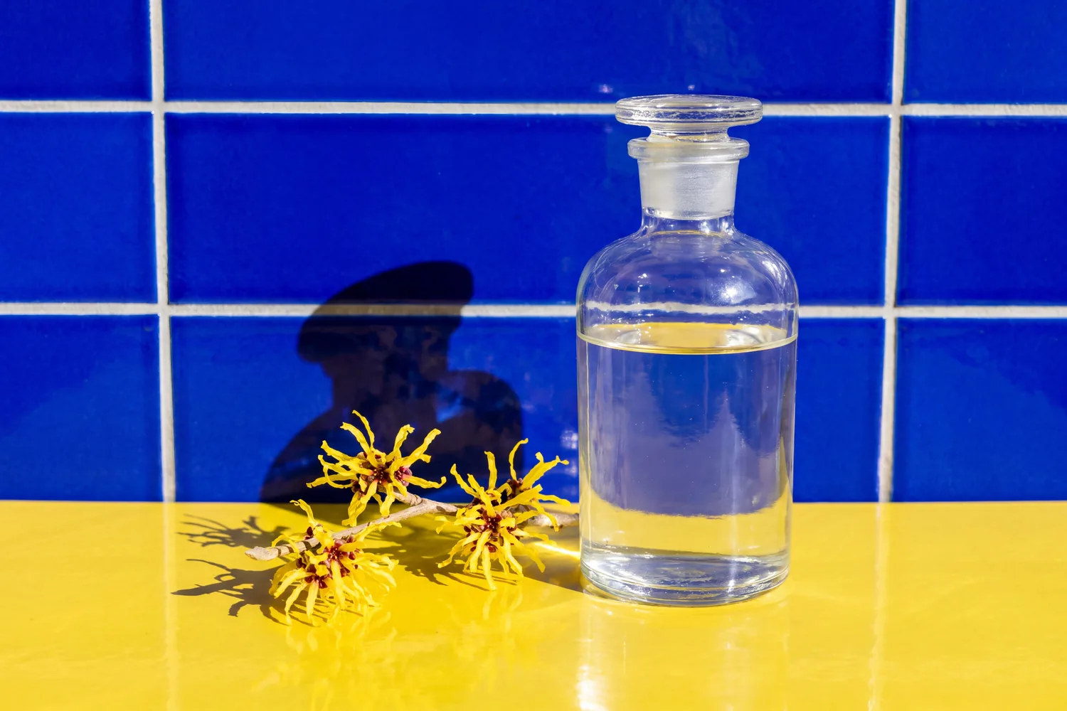 Yellow witch hazel flowers beside a clear glass apothecary bottle on a yellow counter against cobalt tiles.